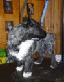 /album/fotogalerie/monty-20-3-2-jpg/